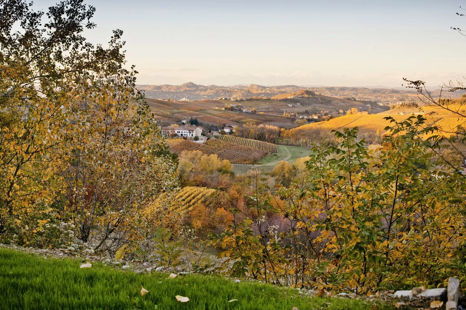 Реализованный проект Monferrato Way 34